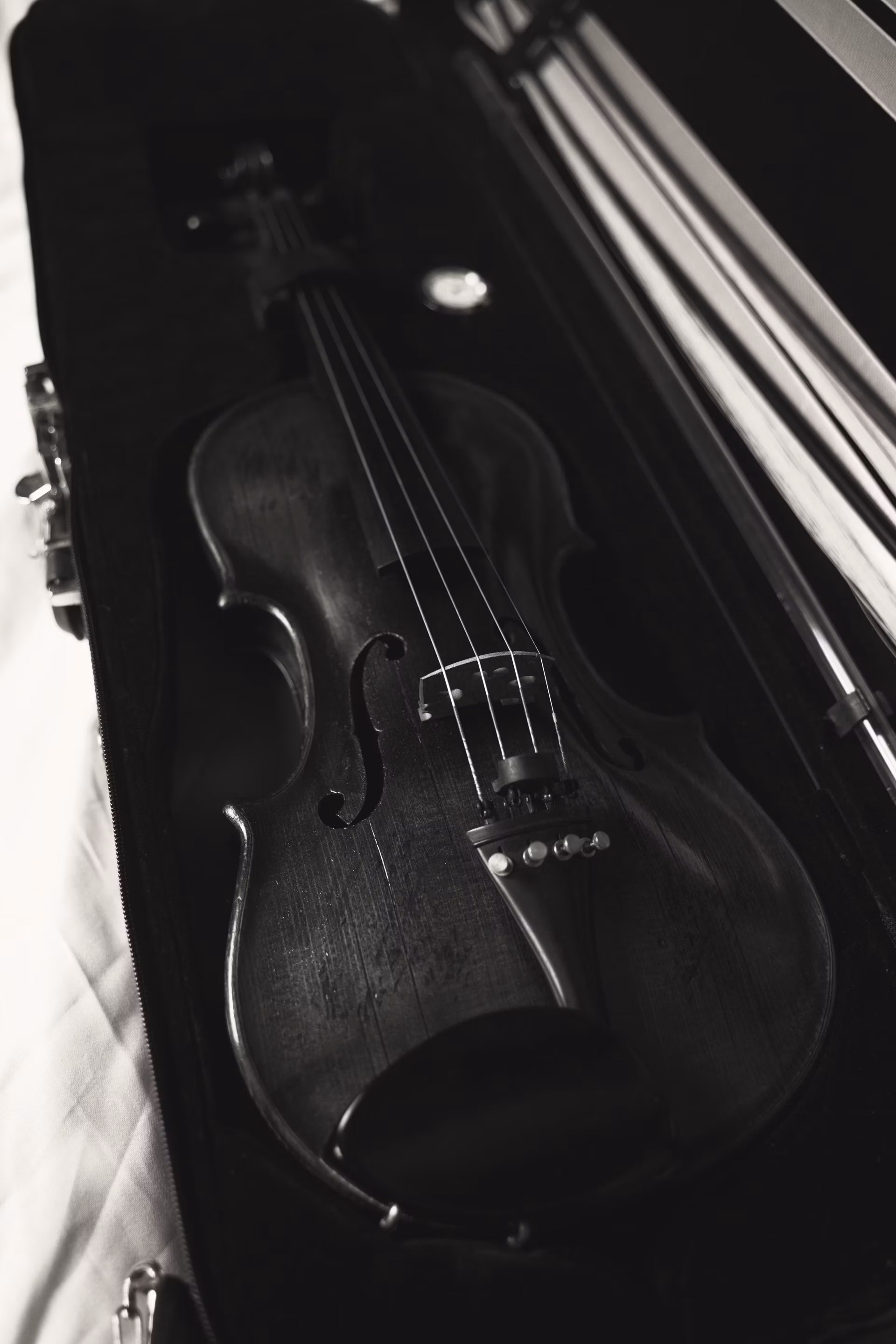 Violin resting securely inside its fitted travel case